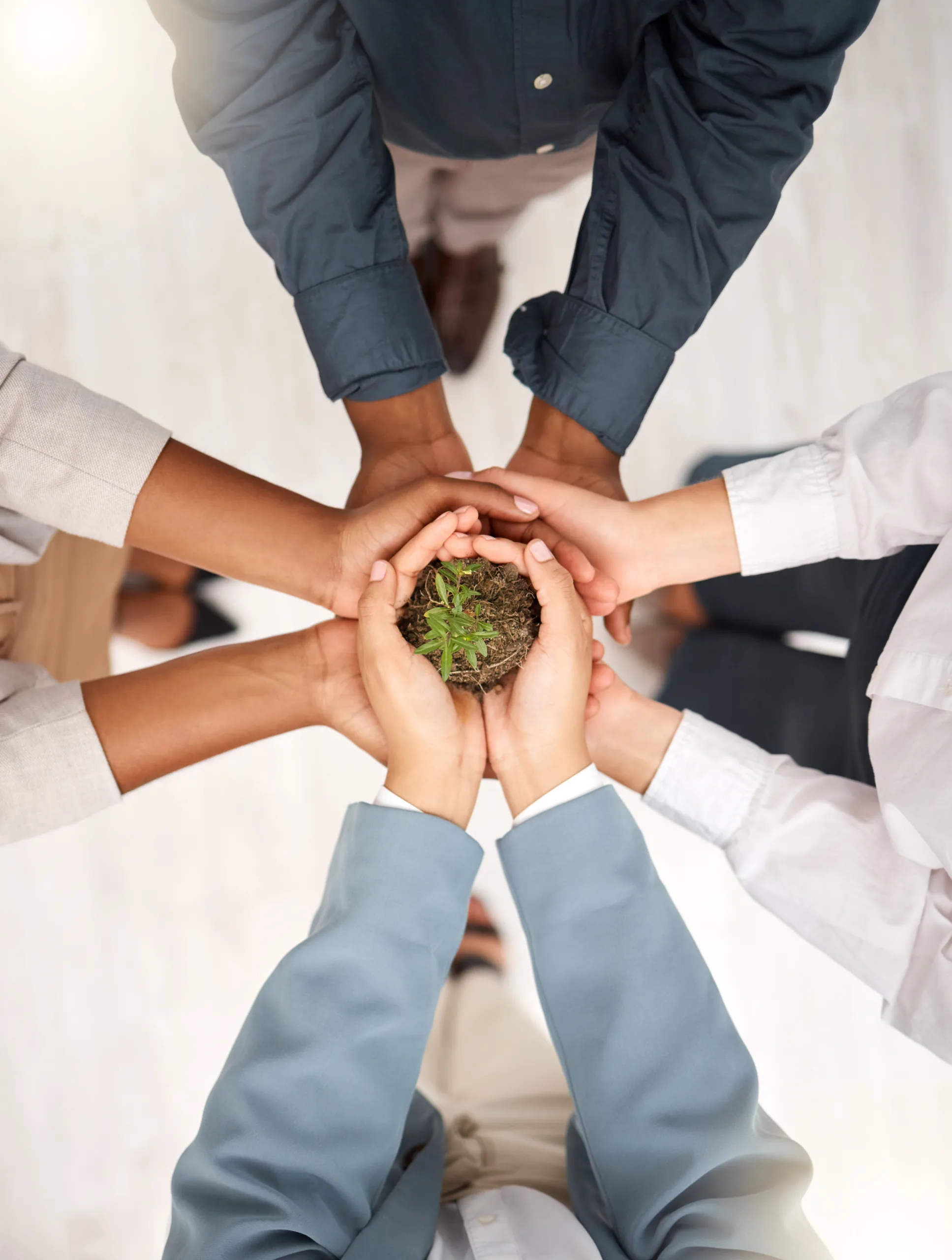 Support,,Environment,And,Plant,With,Hands,Of,Business,People,For